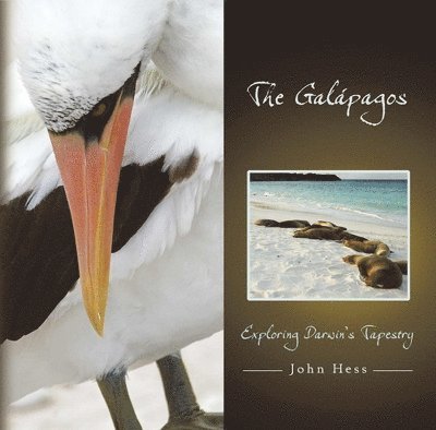 John Hess - Galapagos, Inbunden. Tillgänglighet: Tillfälligt slut