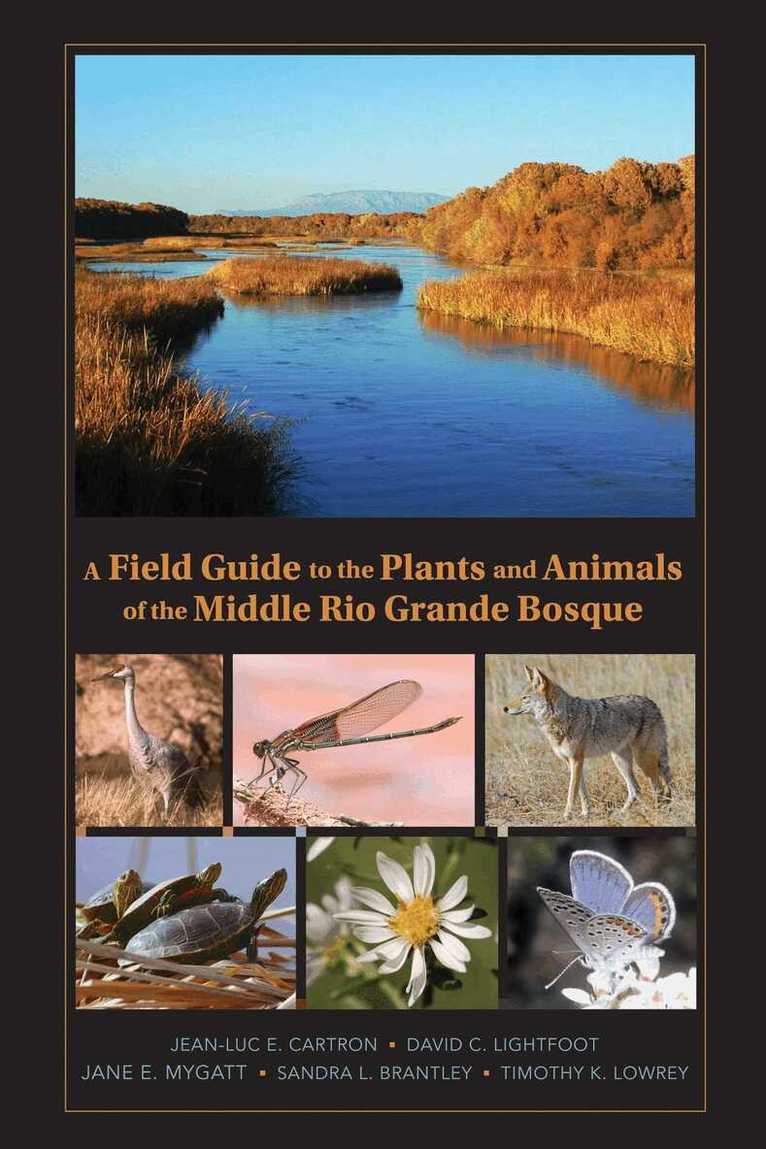 Jean-Luc Cartron, David Lightfoot, Jane E. Mygatt, Sandra L. Brantley, Timothy K. Lowrey - Field Guide to the Plants and Animals of the Middle Rio Grande Bosque, Häftad