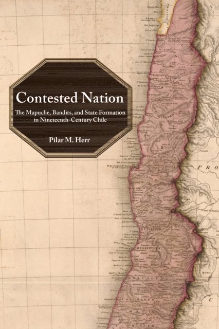 Pilar M. Herr - Contested Nation, E-bok