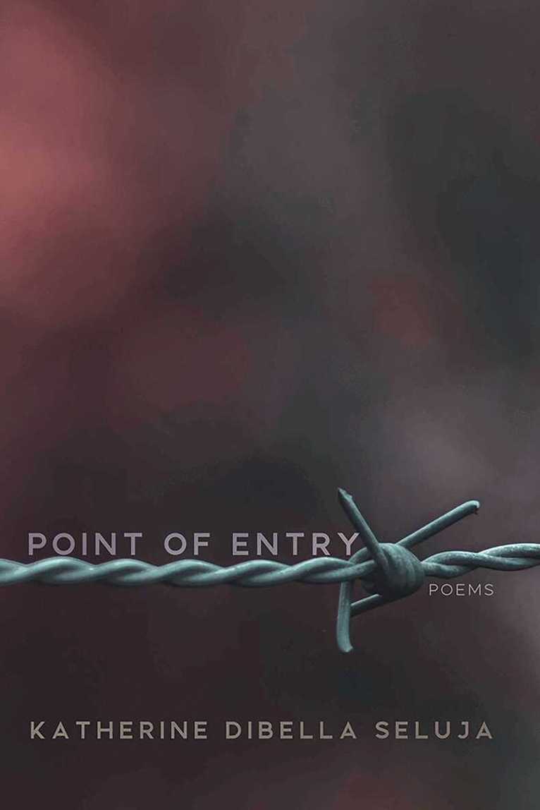 Katherine DiBella Seluja - Point of Entry, Häftad. Tillgänglighet: Tillfälligt slut