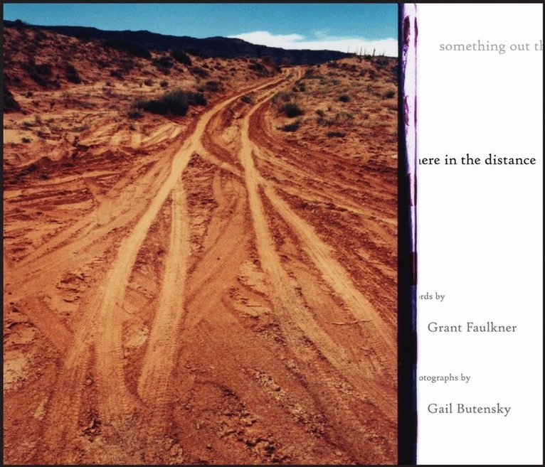 Grant Faulkner - Something Out There in the Distance, Inbunden