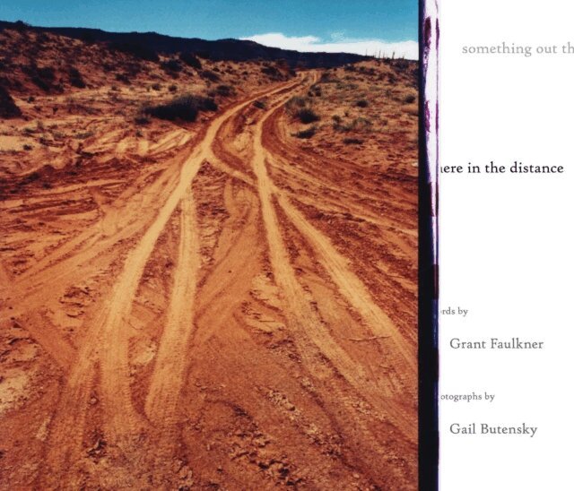 Grant Faulkner - something out there in the distance, E-bok