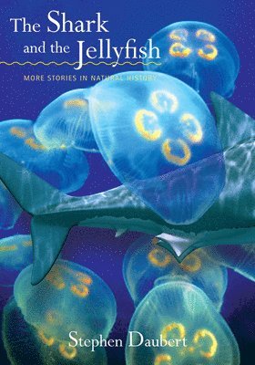 Stephen Daubert - Shark and the Jellyfish, Inbunden