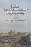 Building Nineteenth-Century Latin America