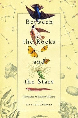 Stephen Daubert - Between the Rocks and the Stars, Häftad