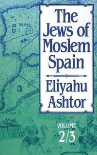 The Jews of Moslem Spain, Volumes 2 & 3