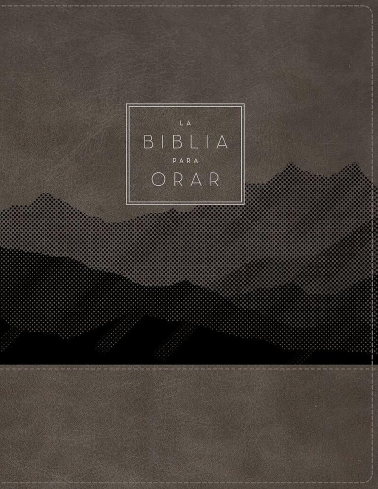 RVR 1960- Reina Valera 1960 - RVR60, La Biblia para orar, Leathersoft, Gris, Palabras de Jesús en rojo, Comfort Print, Inbunden. Tillgänglighet: Kommande