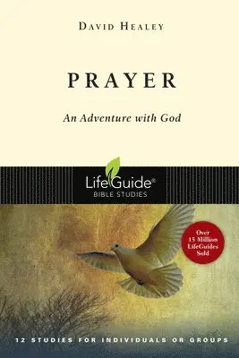 David Healey - Prayer: An Adventure with God, Häftad. Tillgänglighet: Lägg i varukorg