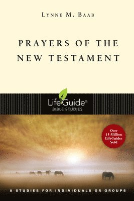Lynne M. Baab - Prayers of the New Testament, Häftad. Tillgänglighet: Lägg i varukorg