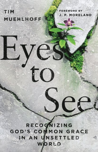 Tim Muehlhoff - Eyes to See, E-bok