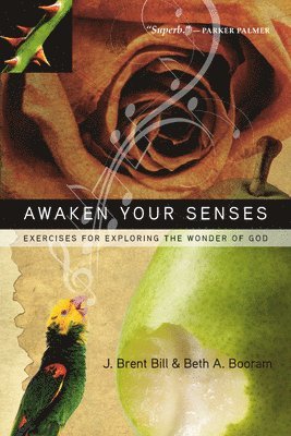 Bill - Awaken Your Senses, Häftad
