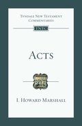 Acts: An Introduction and Commentary