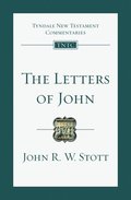 The Letters of John: An Introduction and Commentary Volume 19