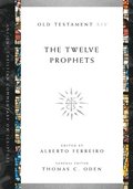 Twelve Prophets