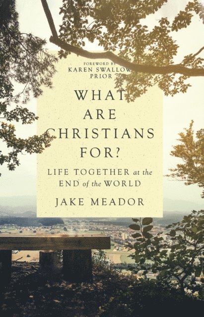 Jake Meador - What Are Christians For?, E-bok