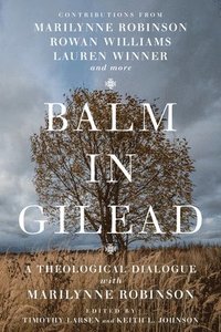 Balm in Gilead  A Theological Dialogue with Marilynne Robinson