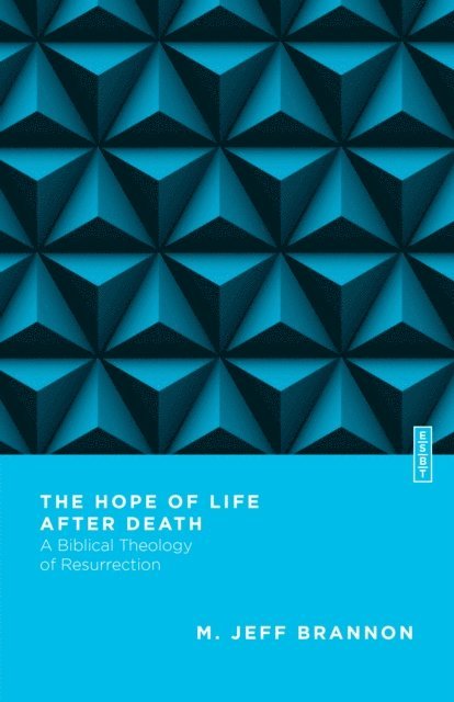 Jeff Brannon - Hope of Life After Death, E-bok
