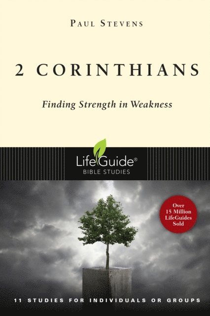 R. Paul Stevens - 2 Corinthians, E-bok