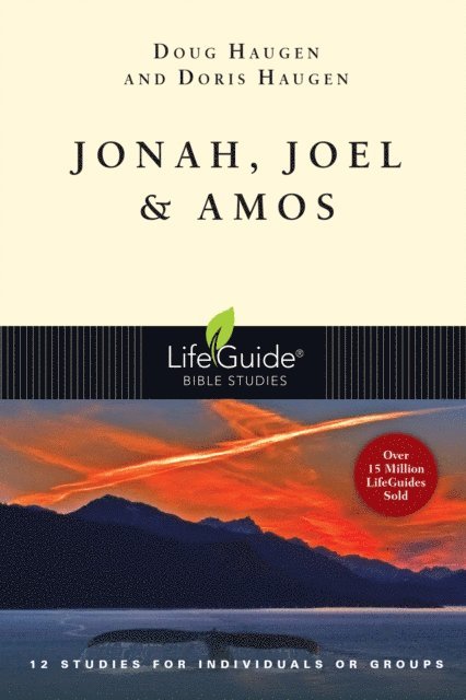 Doug Haugen - Jonah, Joel & Amos, E-bok