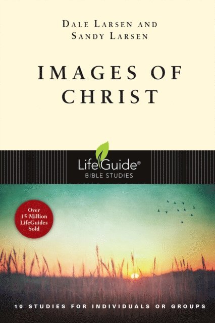 Sandy Larsen, Dale Larsen - Images of Christ, E-bok