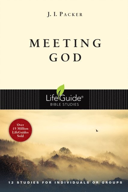 J. I. Packer - Meeting God, E-bok