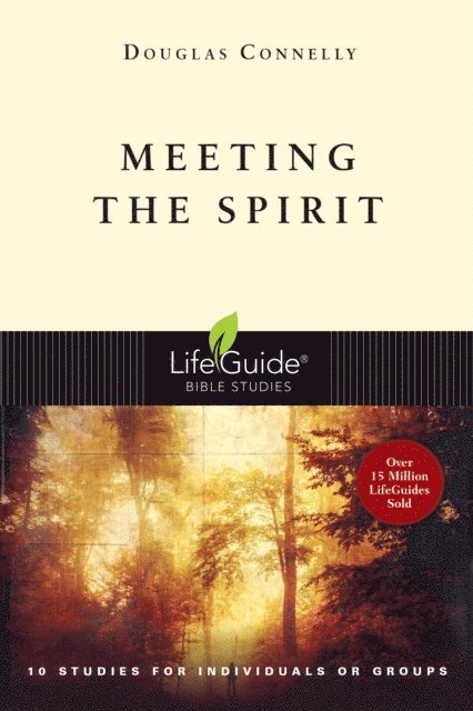 Douglas Connelly - Meeting the Spirit, E-bok