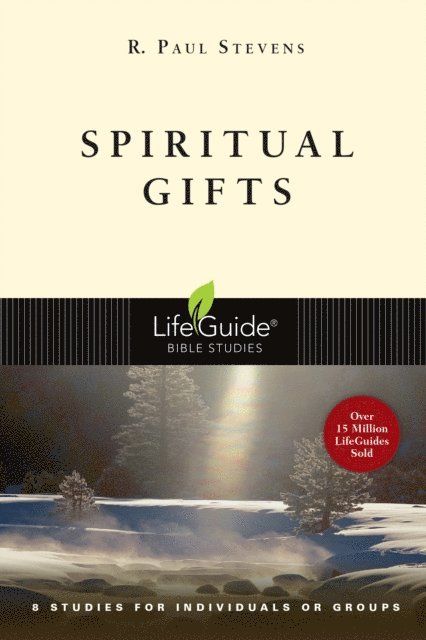 R. Paul Stevens - Spiritual Gifts, E-bok