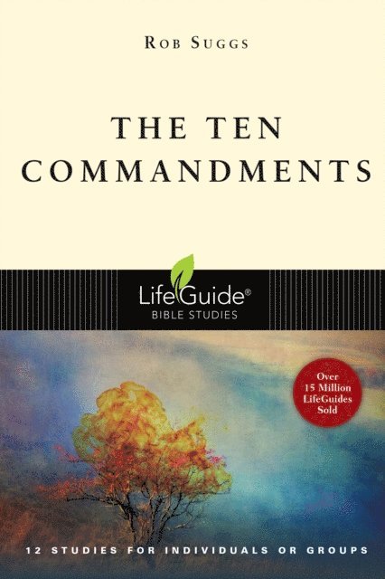 Rob Suggs - Ten Commandments, E-bok