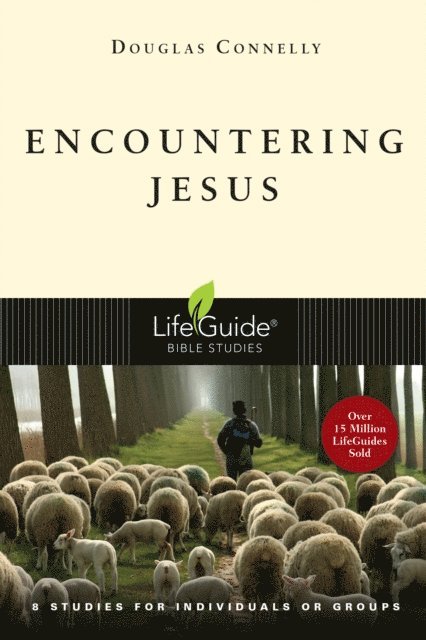 Douglas Connelly - Encountering Jesus, E-bok