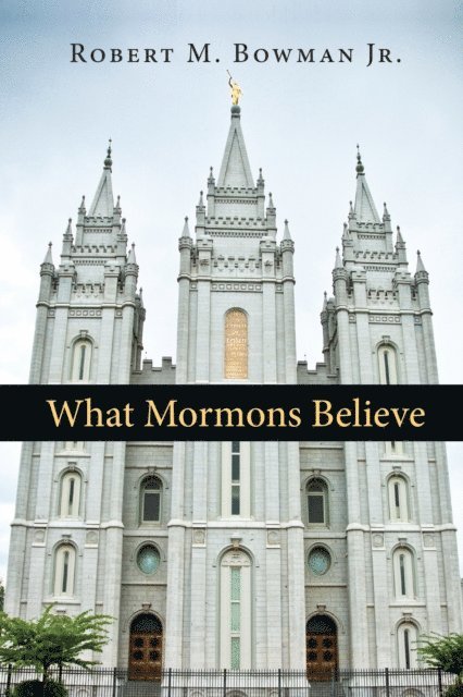 Robert M. Bowman Jr. - What Mormons Believe, E-bok