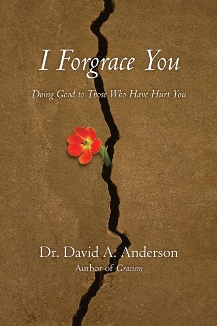 David A Anderson - I Forgrace You, E-bok