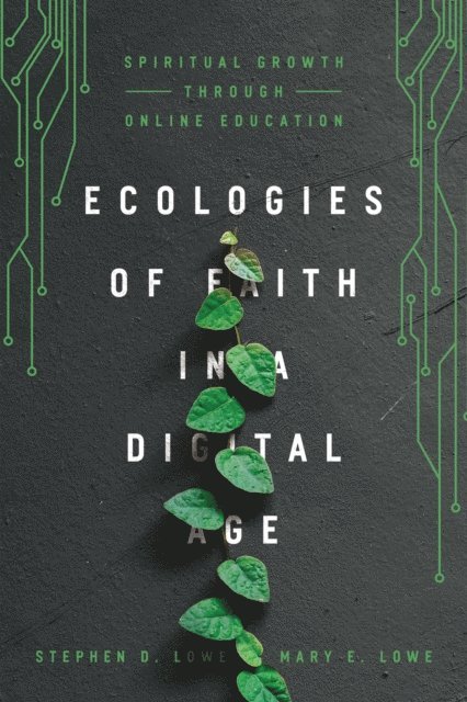 Mary E. Lowe, Stephen D. Lowe - Ecologies of Faith in a Digital Age, E-bok
