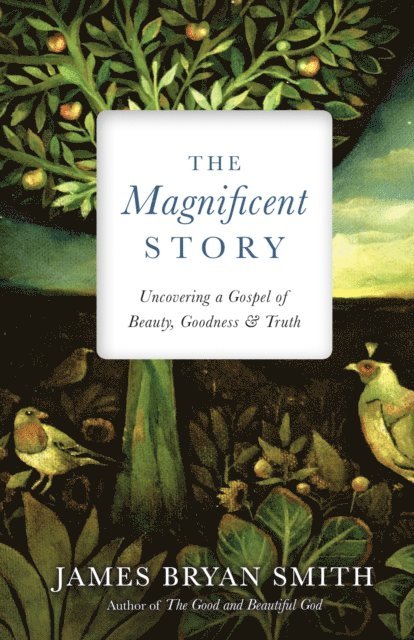 James Bryan Smith - Magnificent Story, E-bok