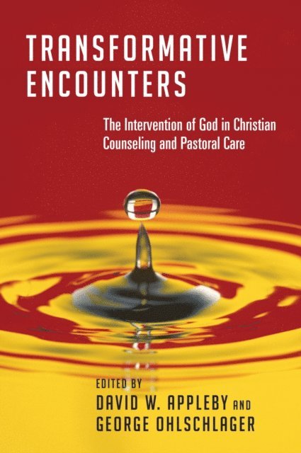 Author - Transformative Encounters, E-bok