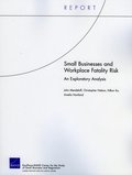 Small Businesses and Workplace Fatality Risk