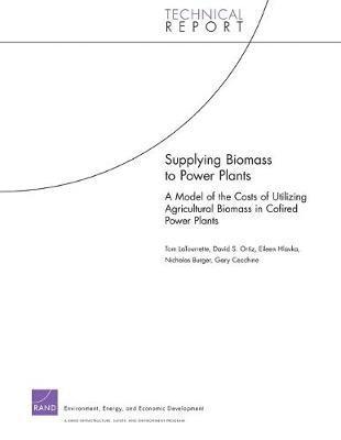 Latourrette, Ortiz, Hlavka, Adri Burger, Gary Cecchine - Supplying Biomass to Power Plants, Häftad. Tillgänglighet: Tillfälligt slut