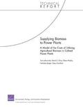 Supplying Biomass to Power Plants