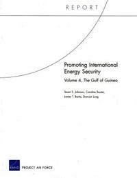 Promoting International Energy Security