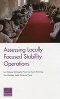 Assessing Locally Focused Stability Operations