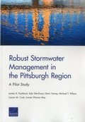 Robust Stormwater Management in the Pittsburgh Region
