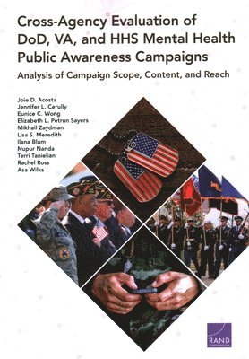 Cross-Agency Evaluation of Dod, Va, and HHS Mental Health Public Awareness Campaign