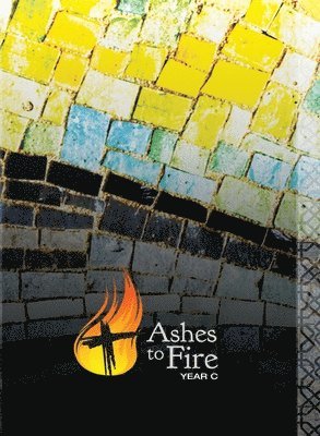 Meritt Nielson - Ashes to Fire--Year C, Häftad
