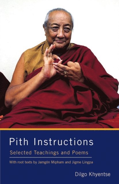 Jigme Lingpa, Jamgon Mipham, Dilgo Khyentse - Pith Instructions, E-bok