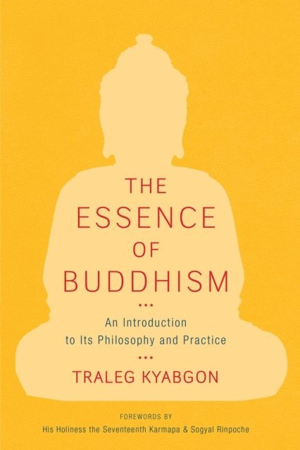 Traleg Kyabgon - Essence of Buddhism, E-bok