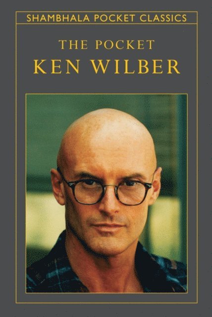 Ken Wilber - Pocket Ken Wilber, E-bok