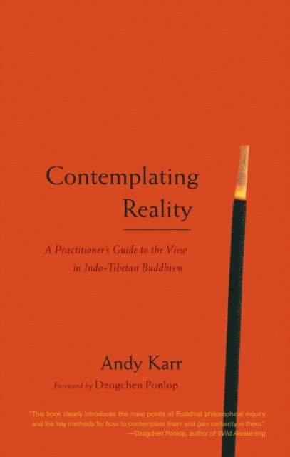 Andy Karr - Contemplating Reality, E-bok