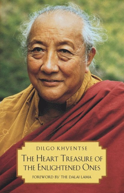 Patrul Rinpoche - Heart Treasure of the Enlightened Ones, E-bok