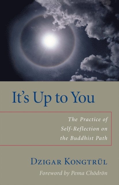Helen Berliner, Dzigar Kongtrul - It's Up to You, E-bok