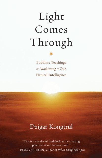 Dzigar Kongtrul - Light Comes Through, E-bok