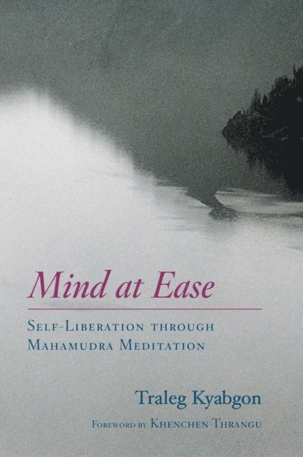 Traleg Kyabgon - Mind at Ease, E-bok